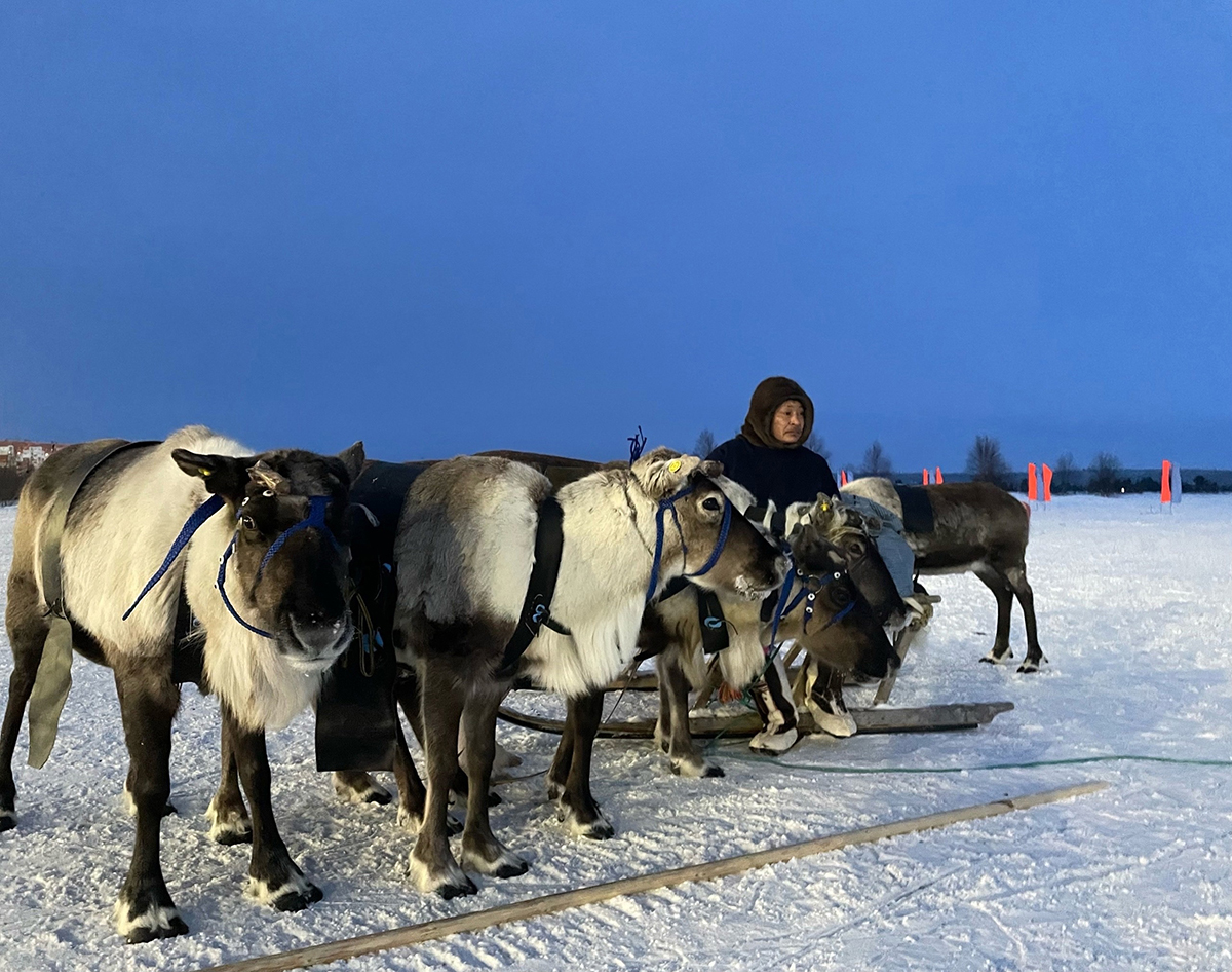 nomads 3