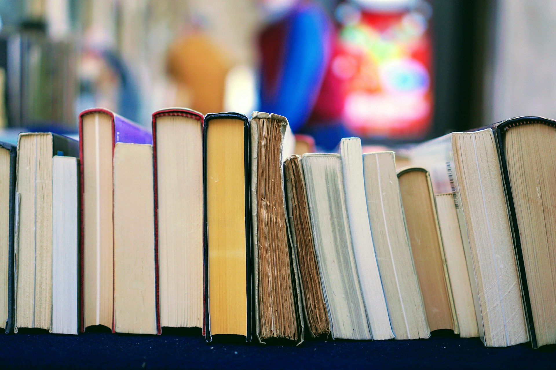 bookblog2