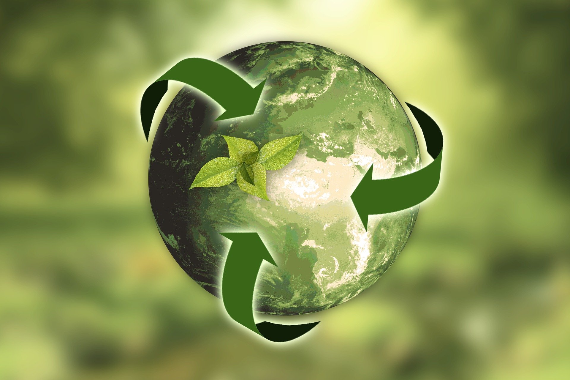 ecology