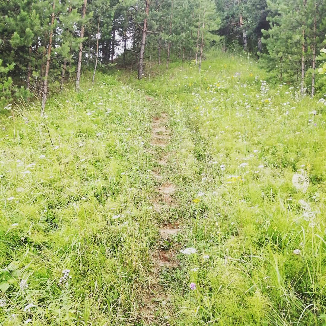 r0JT81IhgJU