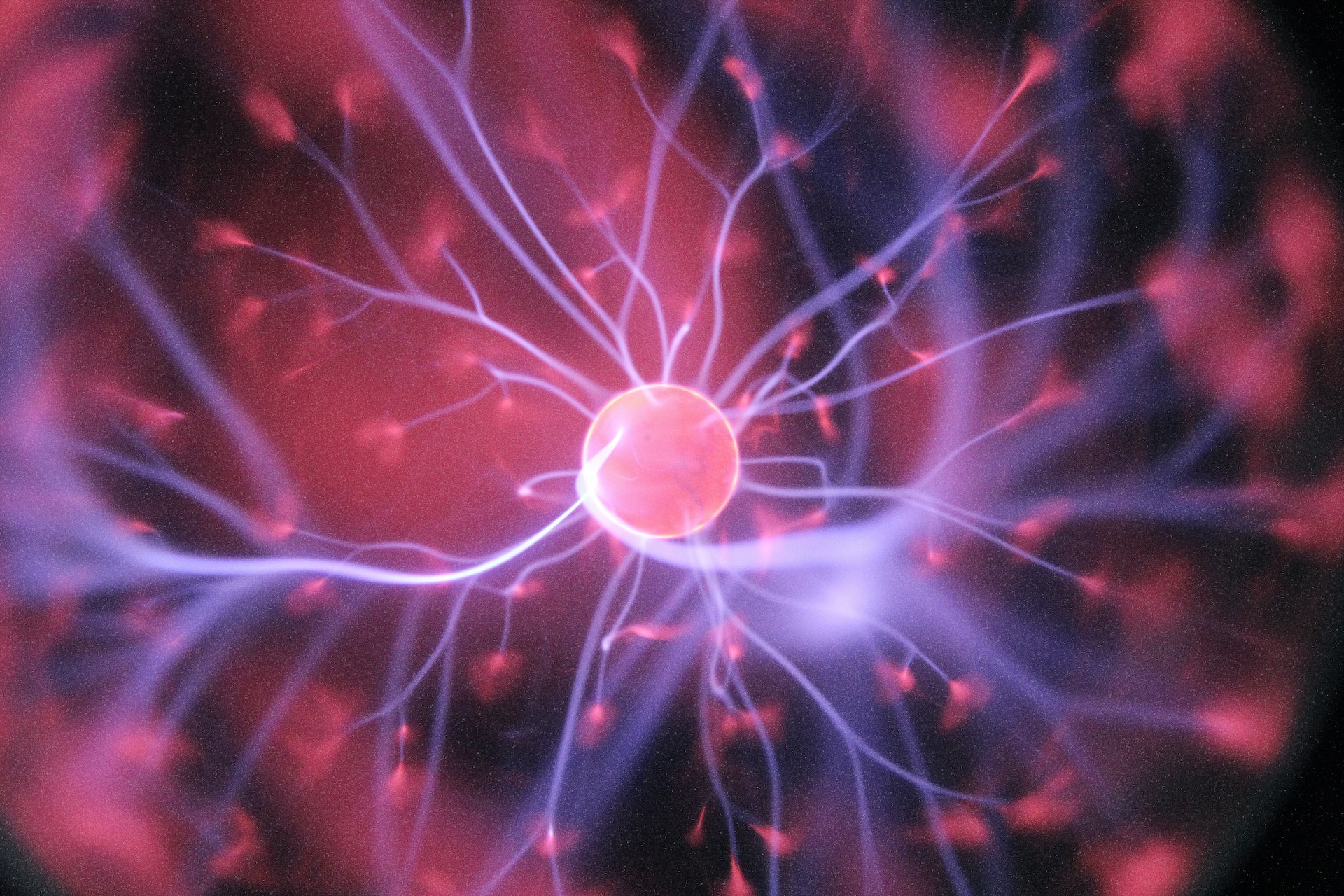 neuro
