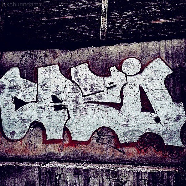 oy 9kbHVMkQ