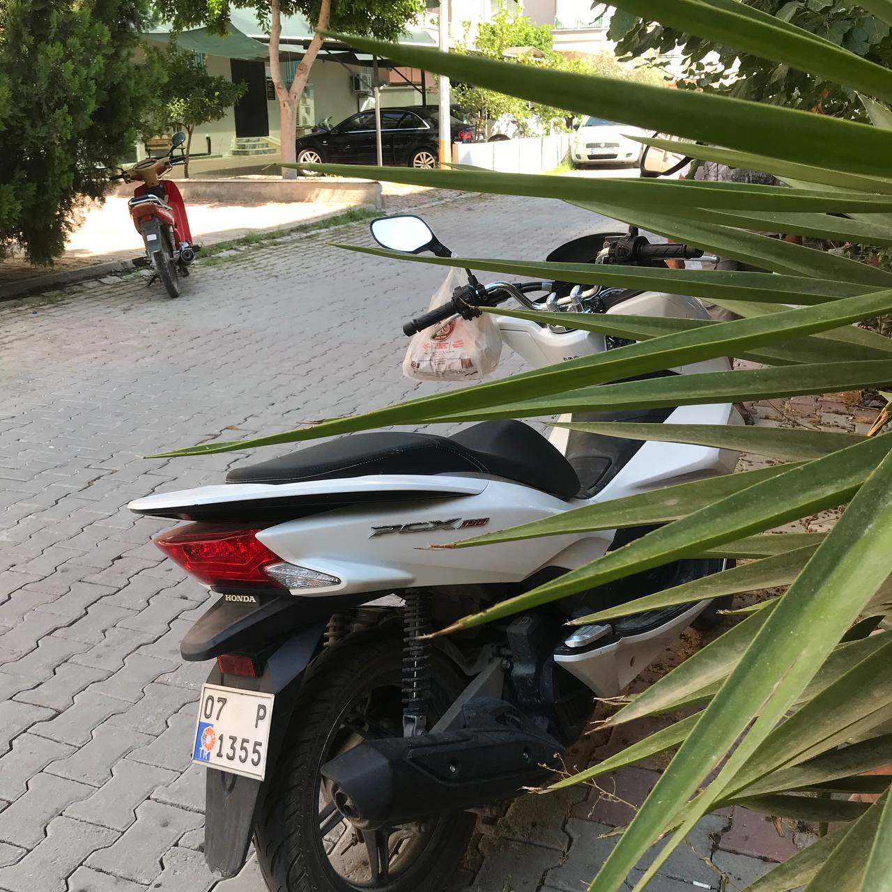 turkey 5